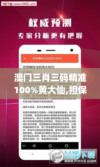 澳门三肖三码精准100%黄大仙,担保计划执行法策略_复古版UWJ30.924