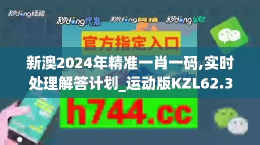 新澳2024年精准一肖一码,实时处理解答计划_运动版KZL62.358