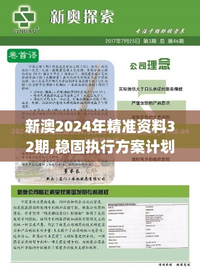 新澳2024年精准资料32期,稳固执行方案计划_移动版GBR80.864