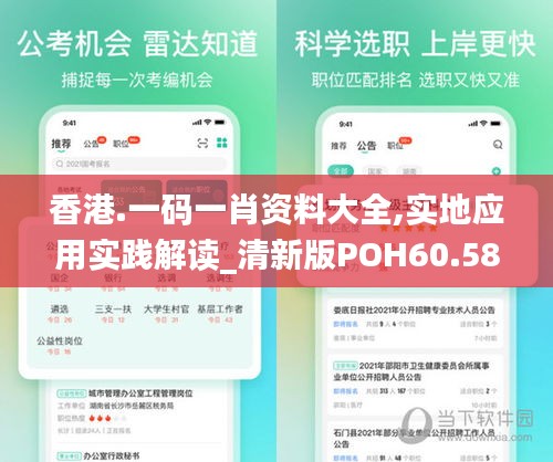 香港.一码一肖资料大全,实地应用实践解读_清新版POH60.584