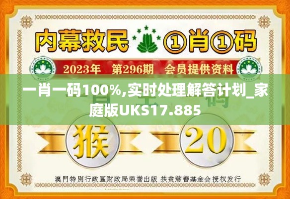 一肖一码100%,实时处理解答计划_家庭版UKS17.885