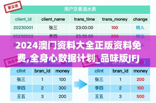 2024澳门资料大全正版资料免费,全身心数据计划_品味版JFJ38.501