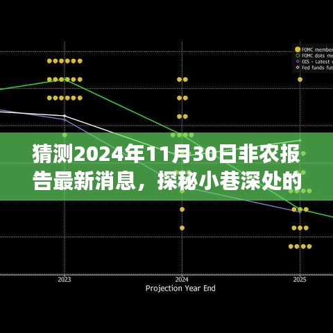 探秘小巷深处独特风味小店，揭秘非农报告背后的惊喜故事与最新预测报告（2024年11月30日）