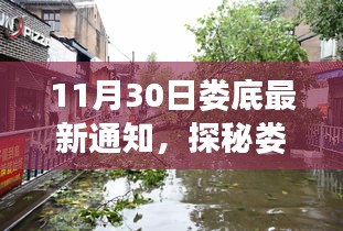 探秘娄底小巷深处的隐藏瑰宝，揭秘最新发现特色小店通知（11月30日）