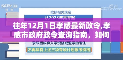 往年12月1日孝感最新政令详解及查询指南，孝感市政府政令获取方法介绍