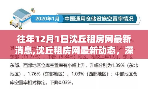 往年12月1日沈丘租房网最新动态与房源解析，深度解读与用户体验报告