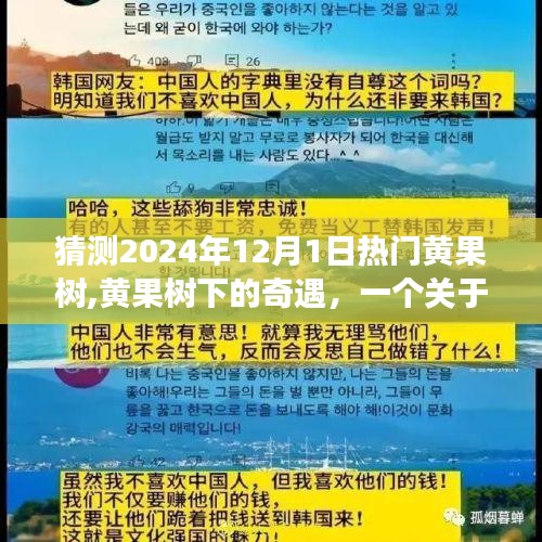 黄果树下的温情奇遇，友情、爱与陪伴的感人故事（猜测2024年12月1日热门话题）