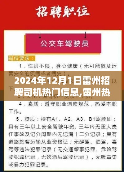 2024年雷州司机招聘热门信息解析，寻找专业司机，开启新征程