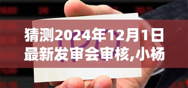 小杨的发审会奇遇，2024年12月1日的温馨猜想与最新发审会审核展望