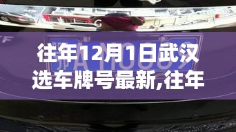 武汉选车牌号最新动态解读，选号策略与趋势分析（往年12月1日更新）