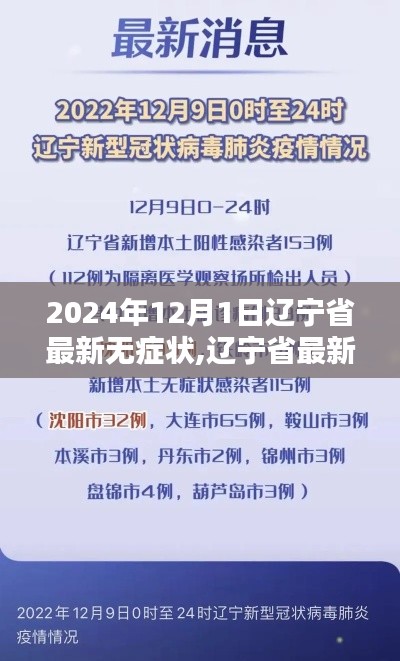 辽宁省最新动态深度解析，聚焦2024年12月1日无症状情况报告