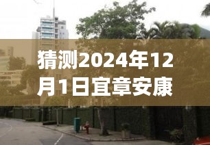 揭秘宜章安康小区，特色小店探秘与最新发展动态（2024年12月）