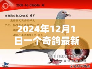 奇鸽最新版，2024年科技飞跃与深远影响的里程碑