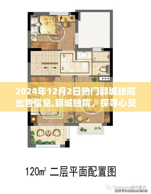 探寻心灵静谧之旅，郓城独院热门出售信息——2024年12月最新房源