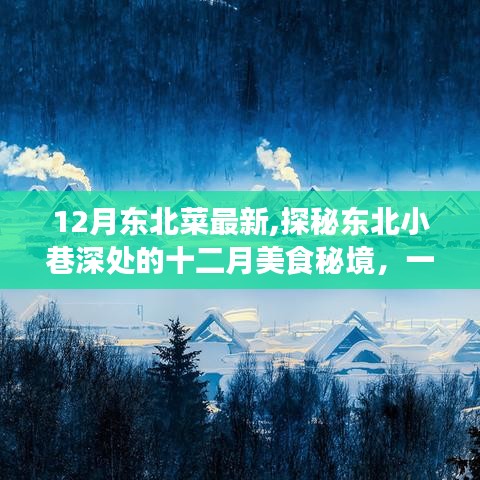 探秘东北小巷深处的十二月美食秘境，一家独特魅力的东北菜小店新菜品展示