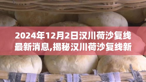 揭秘汉川荷沙复线新动态，美食宝藏藏于小巷特色小店中的新发现（最新消息）