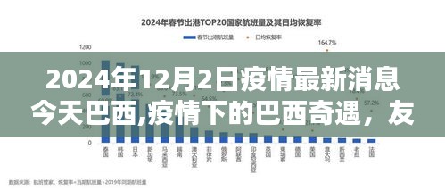 巴西疫情最新动态，疫情下的奇遇与温暖日常的爱与陪伴