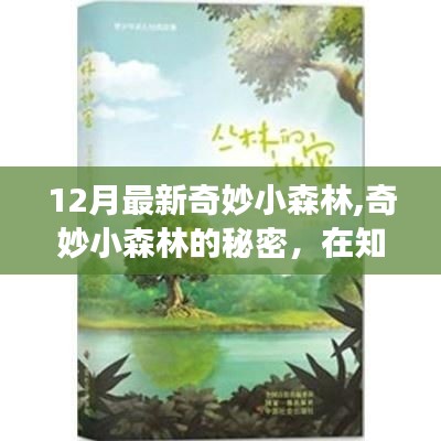 十二月新探奇妙小森林，知识森林中的自信与成长果实