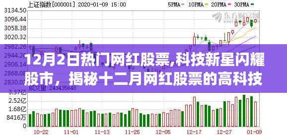 揭秘十二月科技新星网红股票的魅力与闪耀股市之旅