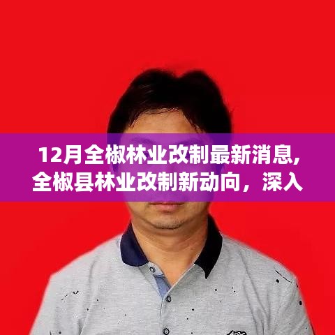 全椒县林业改制最新动态，深度解析与观点阐述