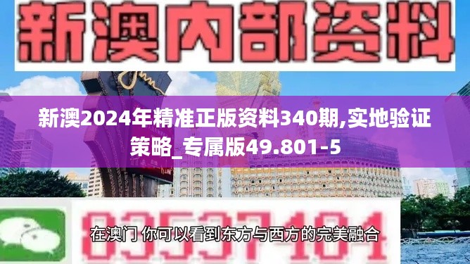 新澳2024年精准正版资料340期,实地验证策略_专属版49.801-5