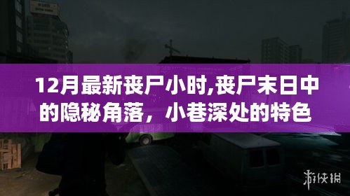 丧尸末日隐秘角落探险记，小巷深处的特色小店与丧尸小时揭秘