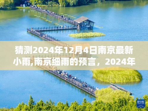 南京细雨的预言，揭秘2024年12月4日小雨背后的故事与影响