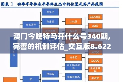 澳门今晚特马开什么号340期,完善的机制评估_交互版8.622-9