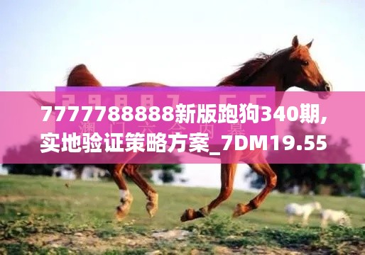 7777788888新版跑狗340期,实地验证策略方案_7DM19.558