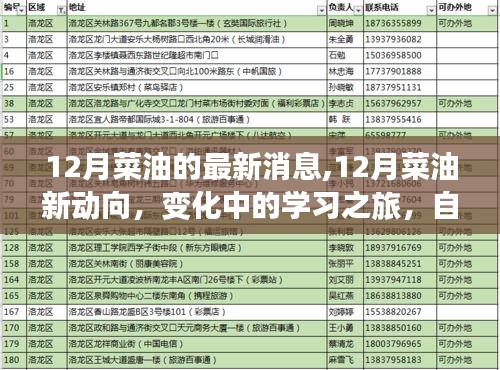 12月菜油市场最新动态，变化中的学习之旅，自信与成就感的源泉