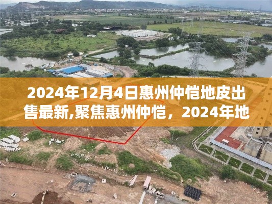 聚焦惠州仲恺，2024年地皮出售最新动态