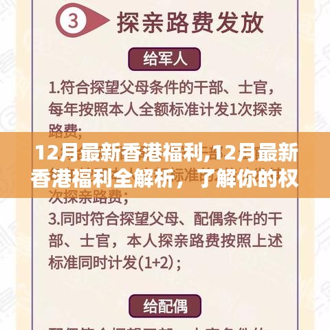 香港十二月福利全解析，保障权益，畅享生活