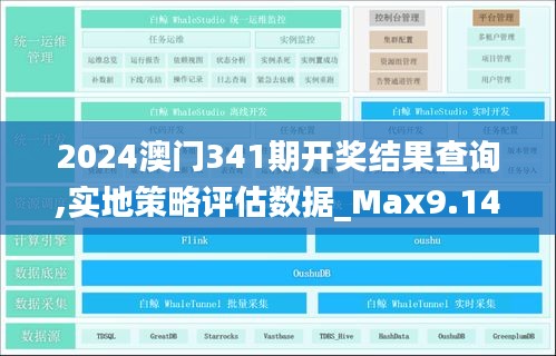 2024澳门341期开奖结果查询,实地策略评估数据_Max9.141