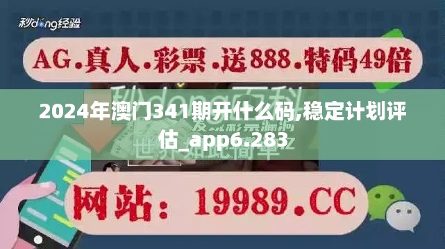 2024年澳门341期开什么码,稳定计划评估_app6.283