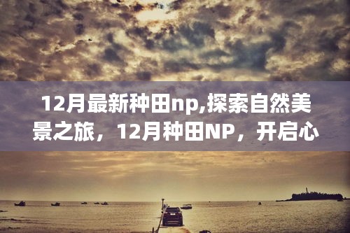 12月最新种田NP，自然美景之旅，开启心灵探索之旅的钥匙