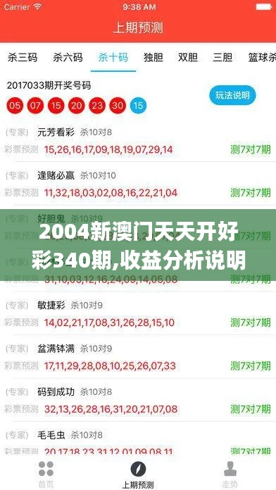 2004新澳门天天开好彩340期,收益分析说明_Holo4.382