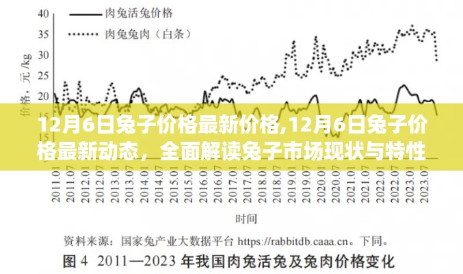 12月6日兔子价格最新动态及市场全面解读