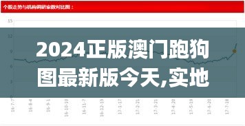 2024正版澳门跑狗图最新版今天,实地应用验证数据_Chromebook4.340