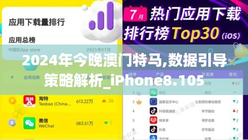 2024年今晚澳门特马,数据引导策略解析_iPhone8.105