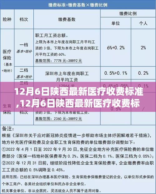 陕西最新医疗收费标准详解（12月6日更新）