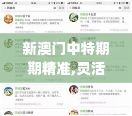 新澳门中特期期精准,灵活执行策略_vShop4.430