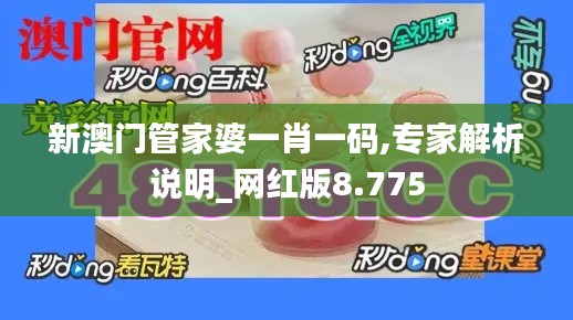 新澳门管家婆一肖一码,专家解析说明_网红版8.775