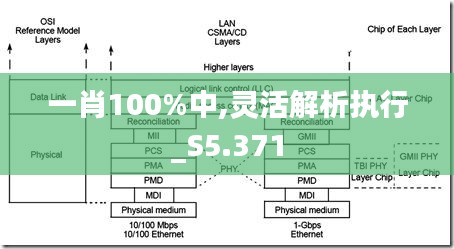 一肖100%中,灵活解析执行_S5.371