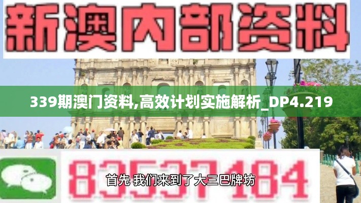 339期澳门资料,高效计划实施解析_DP4.219