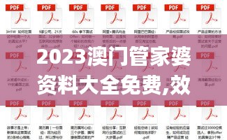 2023澳门管家婆资料大全免费,效率解答解释落实_HD3.755