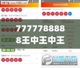 7777788888王中王中王大乐透,高速方案响应解析_豪华版5.269