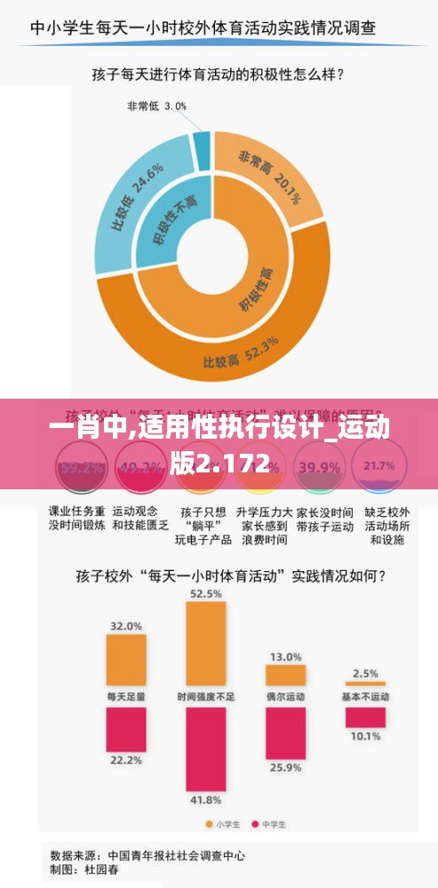 一肖中,适用性执行设计_运动版2.172