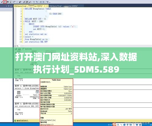 打开澳门网址资料站,深入数据执行计划_5DM5.589