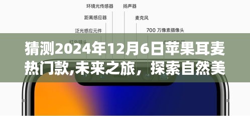 2024年12月7日 第12页