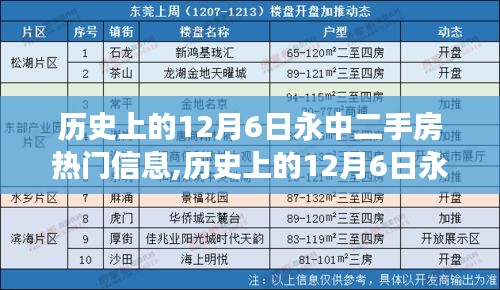 历史上的12月6日永中二手房市场动态，热点信息与购房技能详解